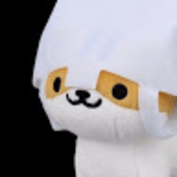 Meet your Posher, Dani - Picture 1 of 1